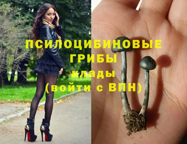 Галлюциногенные грибы GOLDEN TEACHER  Ейск 